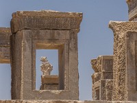 IR2016  IMG 3933 : Iran, Persepolis
